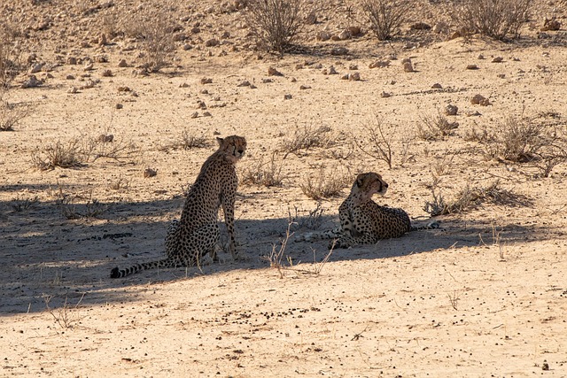 Топ-10 автомобилей с самой высокой скоростью