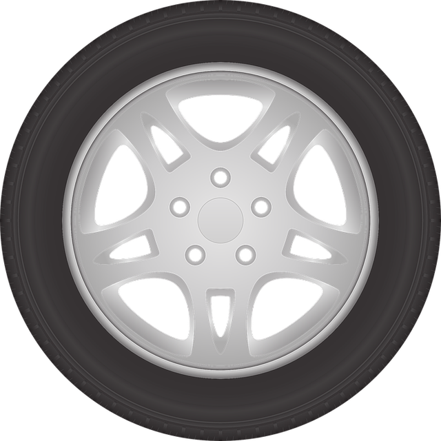 Что нужно знать о шинах для разных сезонов: полный гид